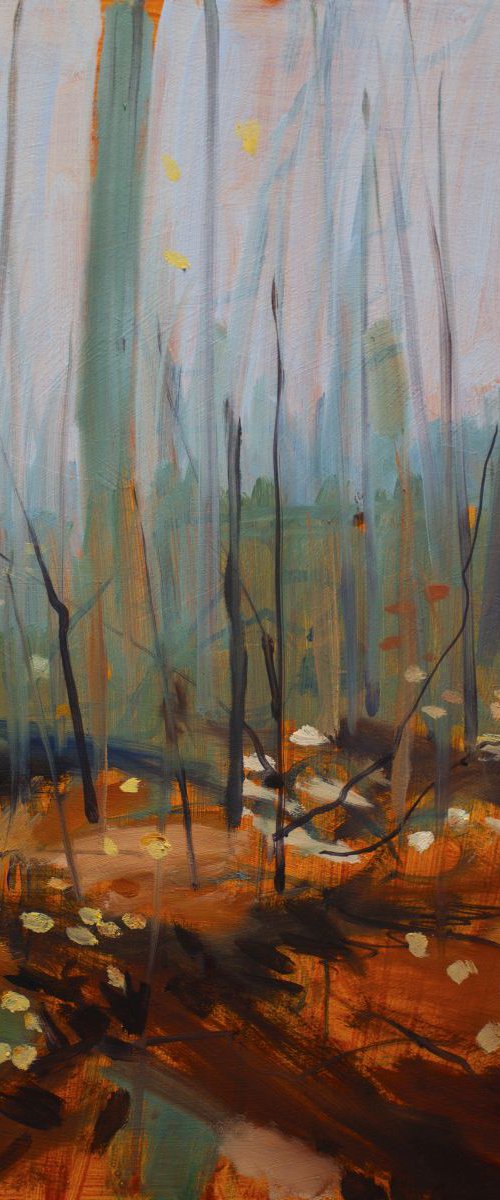 Lancashire Woodland Autumn Study by David Pott