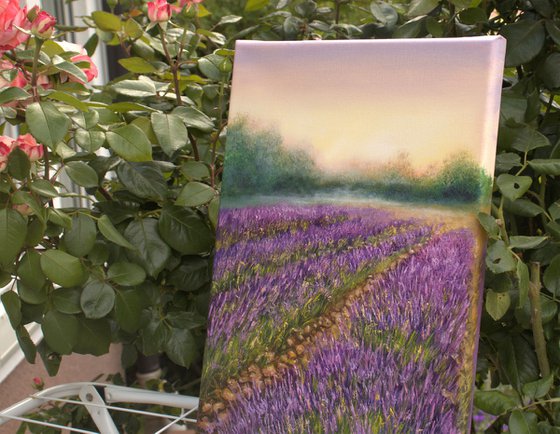 Lavender landscape 4