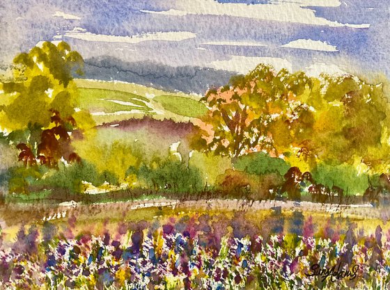 The beauty of North Dorset