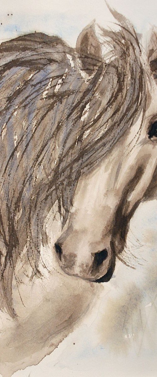 Horse IV / Welsh Pony by Salana Art / Svetlana Samovarova