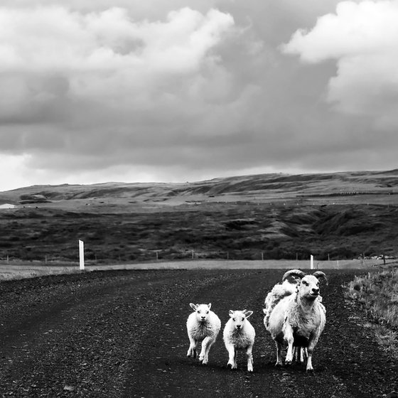 ICELAND TRAFFIC