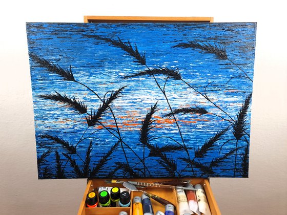 Blue Sunset In The Grass