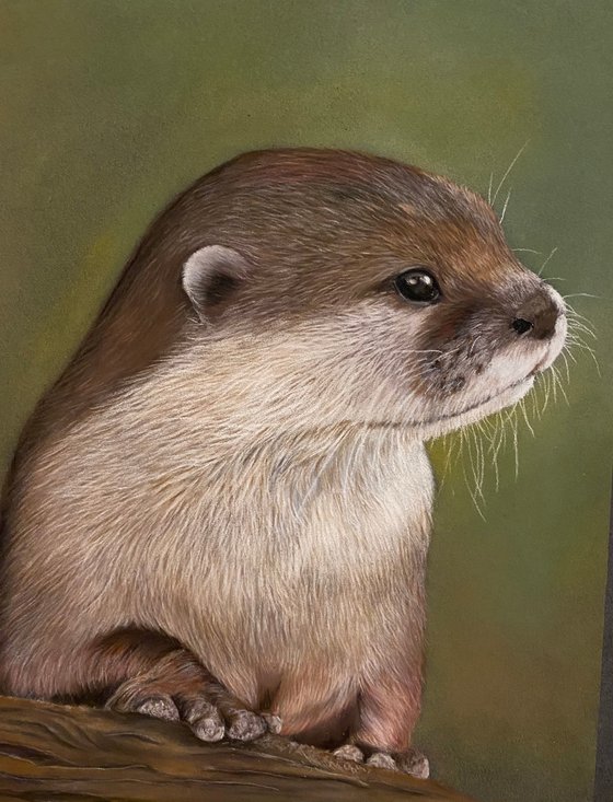 Otter