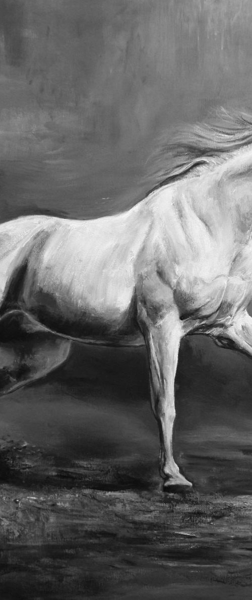 Horse and Freedom by Behshad Arjomandi