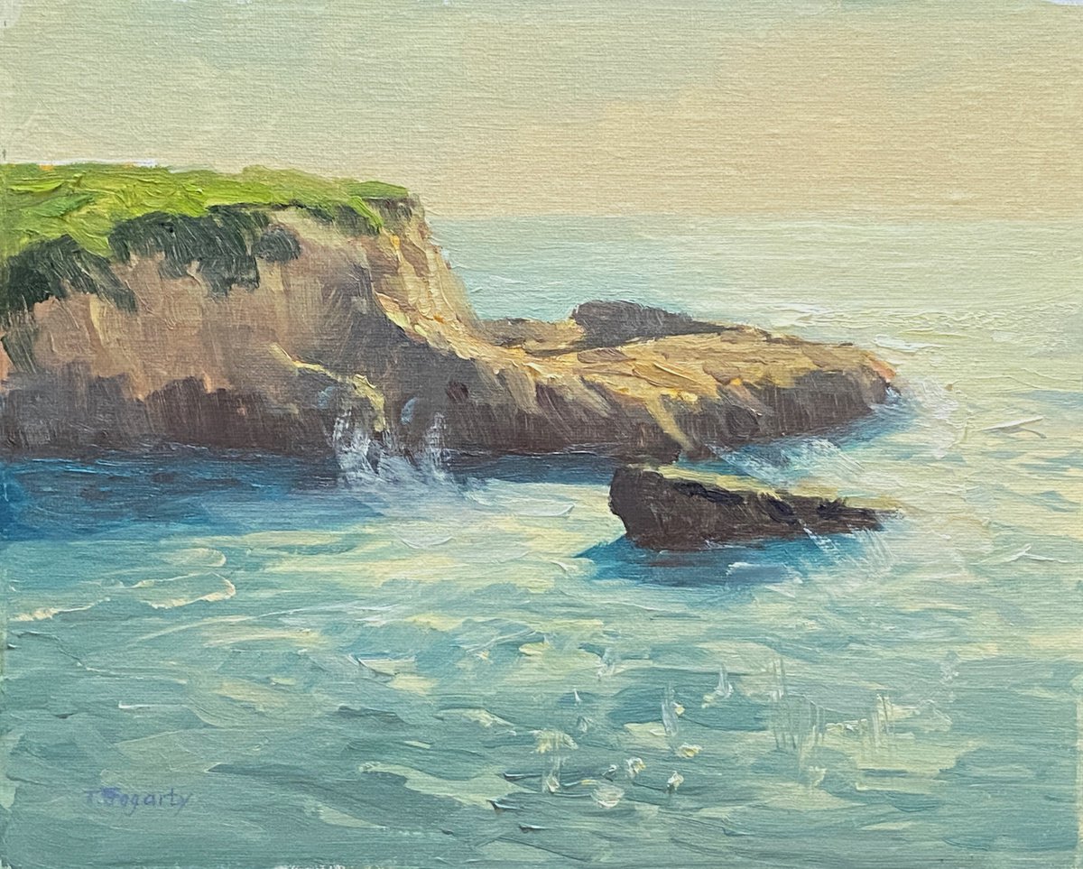 Cliffs View Near Davenport by Tatyana Fogarty