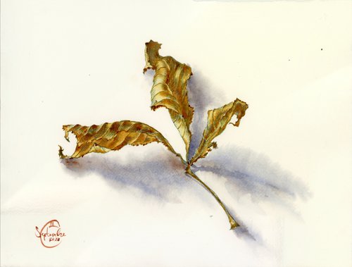 Still life with leaf. Details of nature by Tatyana Tokareva