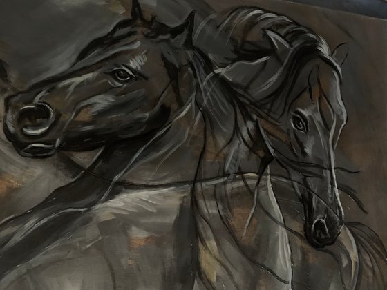 Horses