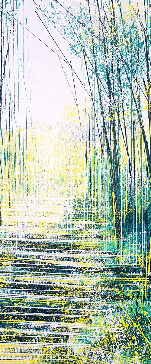 Light Through Spring Trees by Marc Todd