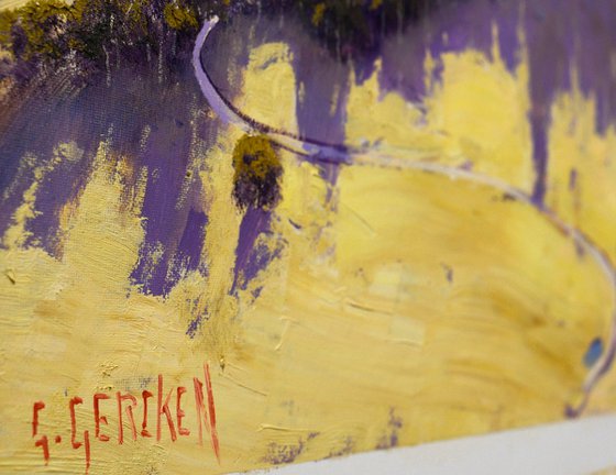 Drone view The Blue Mountains