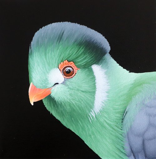 TURACO by Milie Lairie