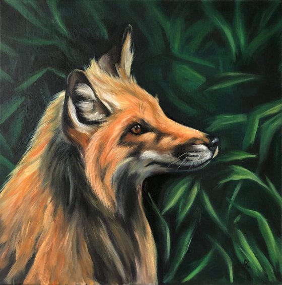 Сurious Fox