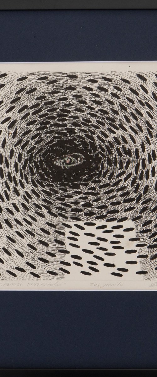 THE DYNAMICS OF THE UNSEEN by Pavlov Serghei