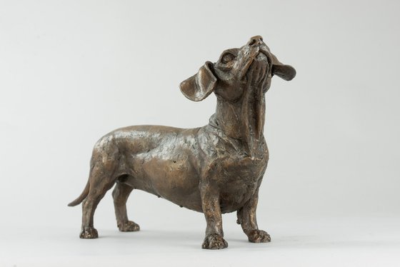 'Maddie' Dachshund Bronze Res