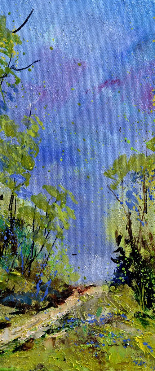 Spring path by Pol Henry Ledent