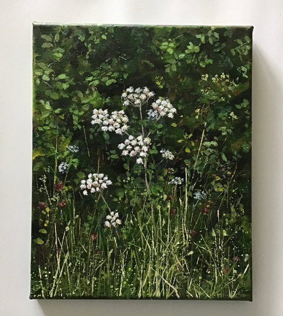 Devon Hedgerow