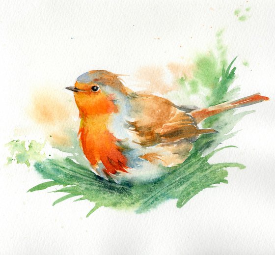 Robin Watercolour painting