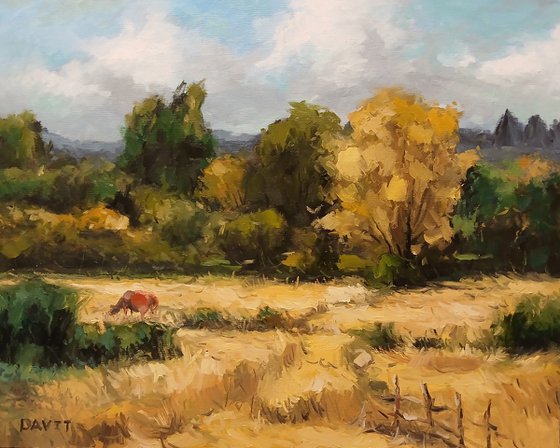 Golden Pasture