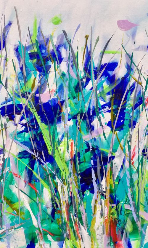 Iris Dance by Michelle Carolan