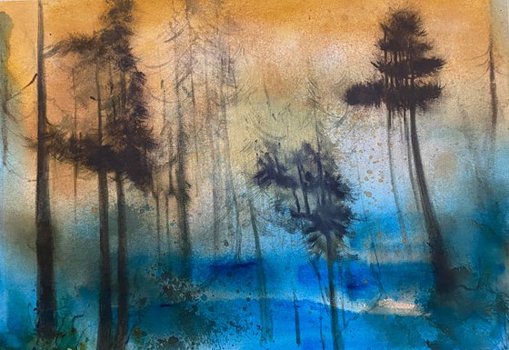 Misty Scots Pines