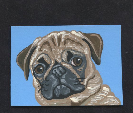 ACEO ATC Original Miniature Painting Fawn Pug Pet Dog Art-Carla Smale