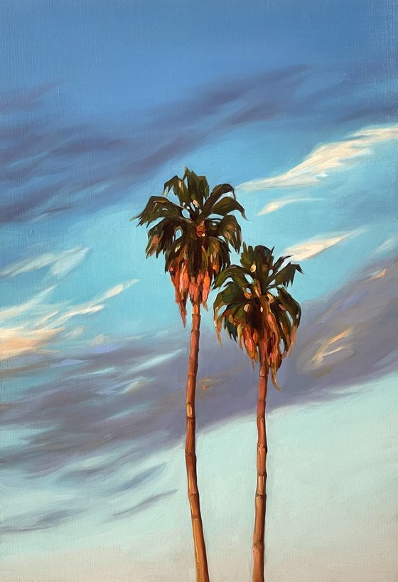 Palm trees at sunsets