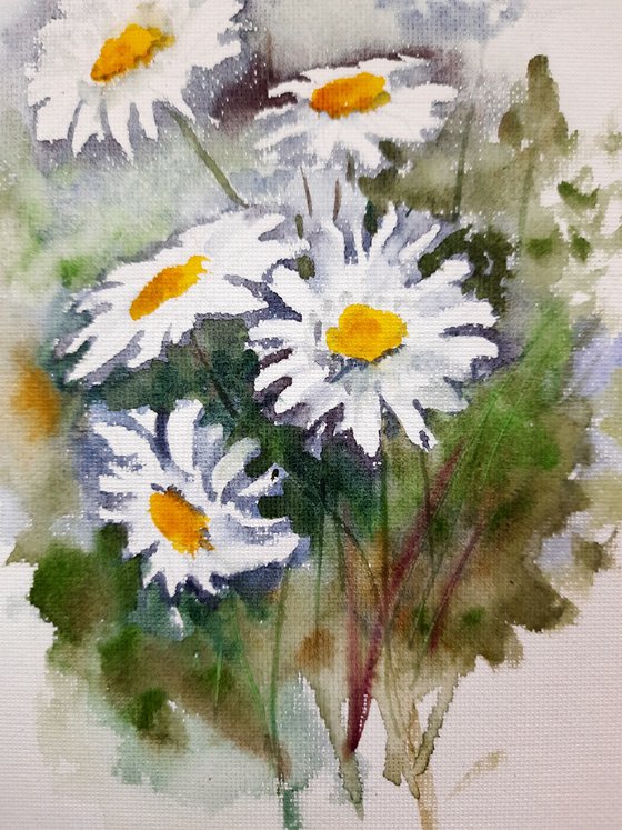 Dainty Daisies