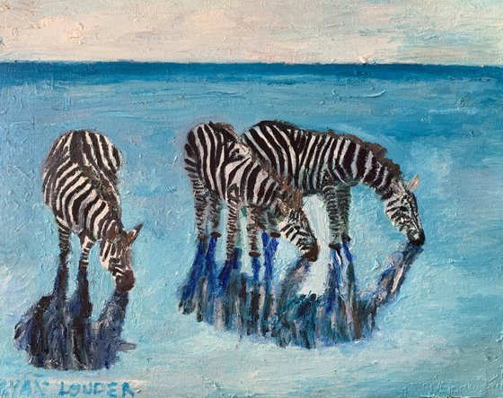 Zebras In Blue Water