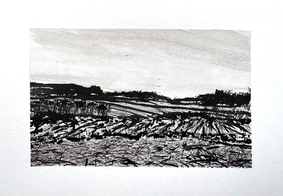 Pennsylvania Fields 2