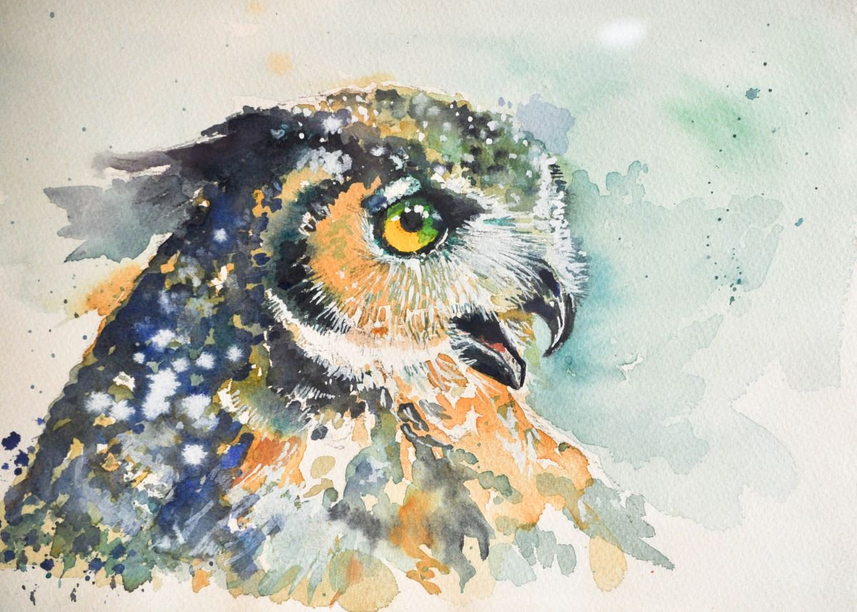 Expressive Animal Watercolour By Flavio Furlan, 12 X 9, Gufo Arrabbiato, Original Artwork