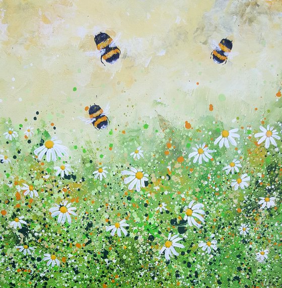 Bumble Bees & Daisies