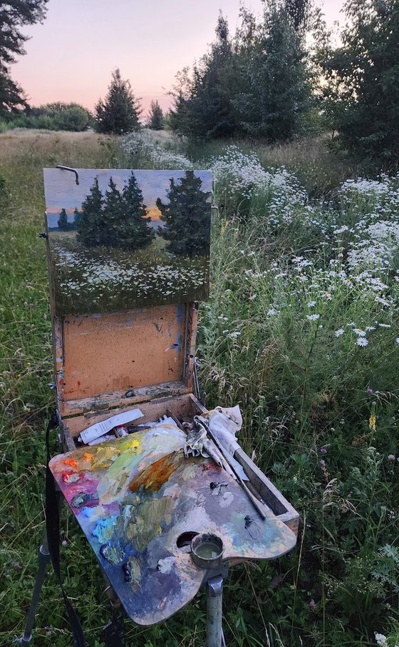 Evening Wildflowers - summer sunny landscape, painting