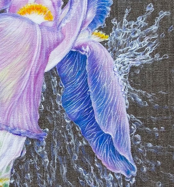 "Iris in Rain Pearls"