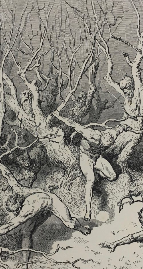 Drawing in the woods by Tudor Evans