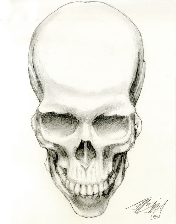 Skull Study One