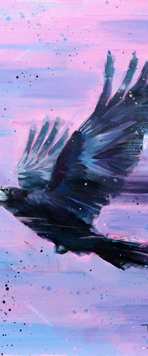 Black Bird | The Raven by Trayko Popov