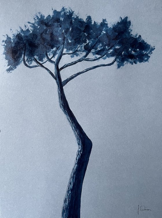 Blue pinetree