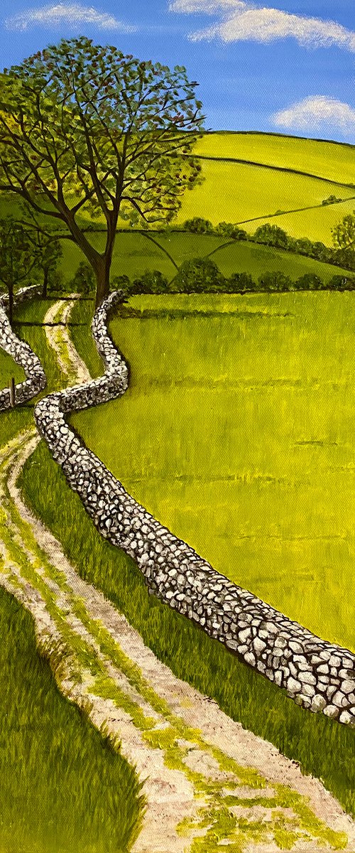 Yorkshire Dales by MAGGIE JUKES