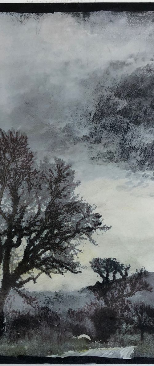 Colsterdale by Diane McLellan