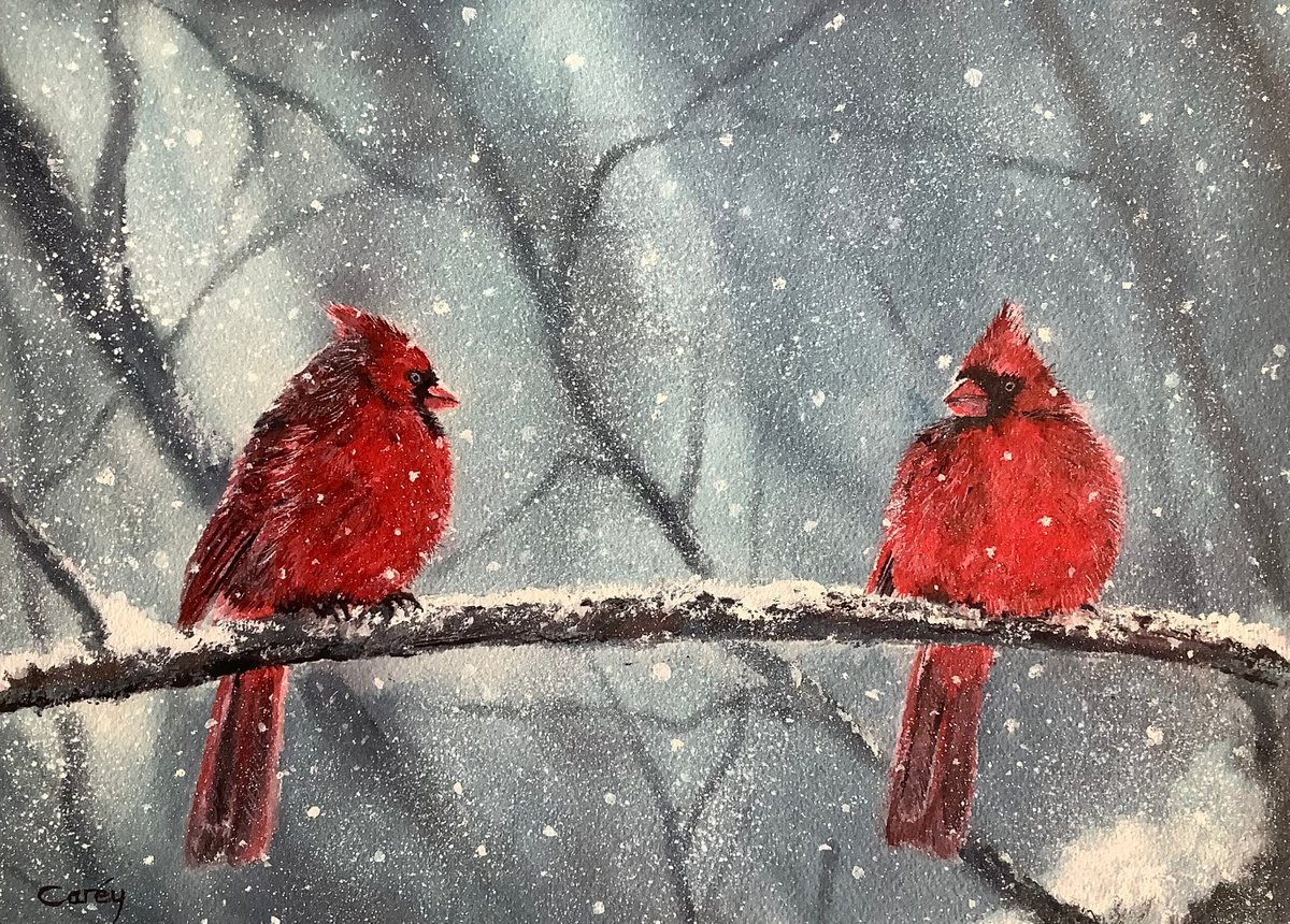 Red Cardinals by Darren Carey