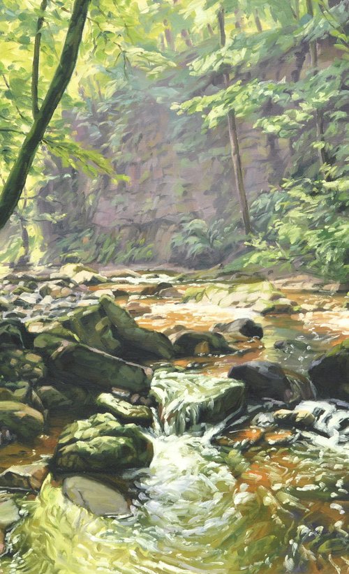 Morning Light On The Sumène by ANNE BAUDEQUIN