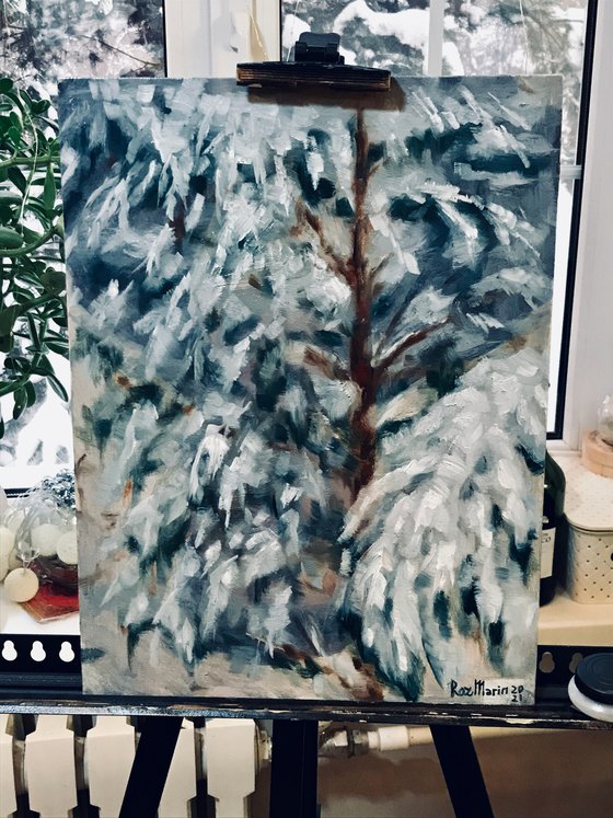 Snow spruce Trees collection