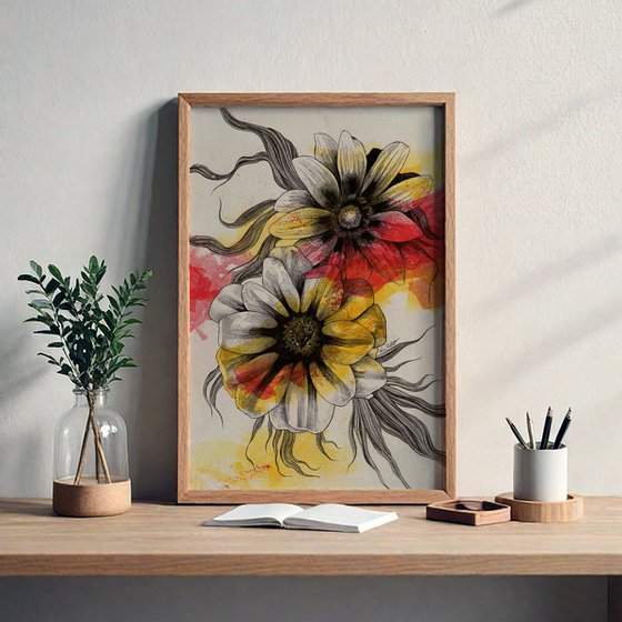 Floral Series: Gazania Rigens