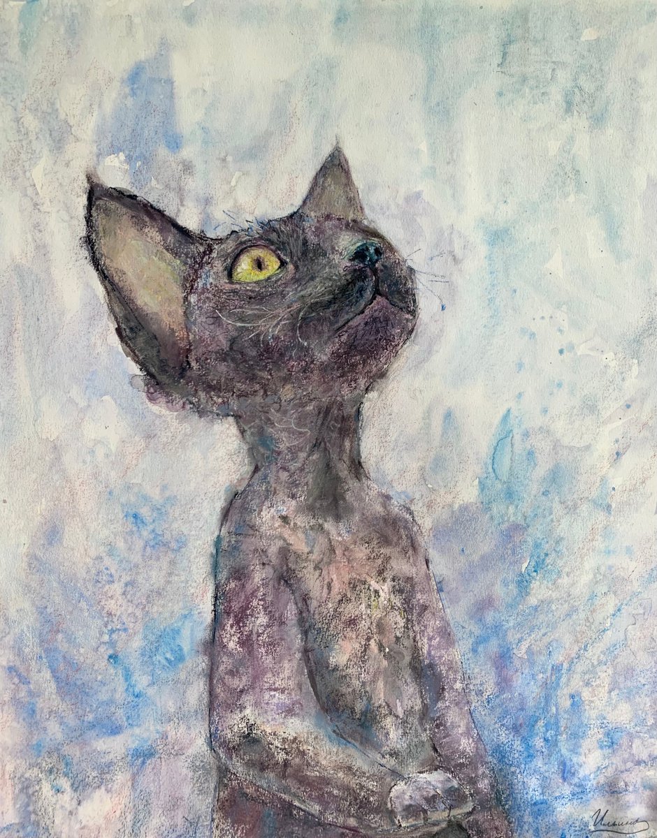 Dreamer- Soft pastel drawing on paper, gray color, cat guy, kitten, animal lover, home dec... by Tatsiana Ilyina