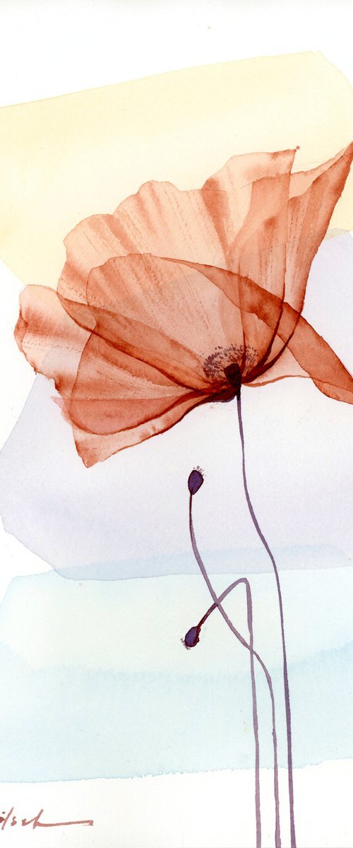 Gentle Poppy Flower by Olga Koelsch