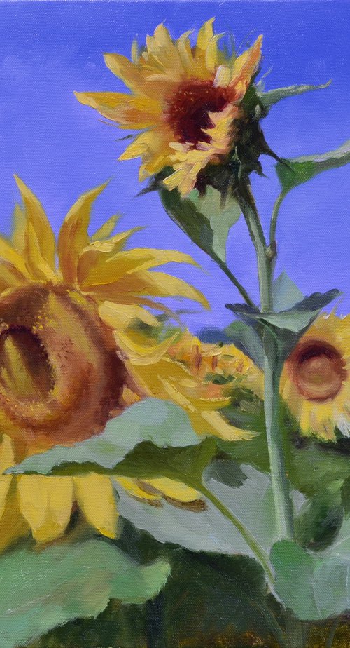 Sunflowers by Ruslan Kiprych
