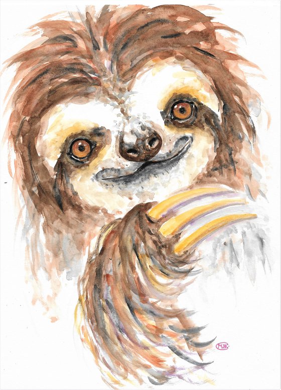 Three toed Sloth portrait