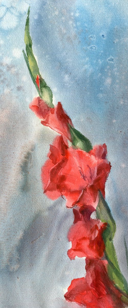 Red Gladiolus by SVITLANA LAGUTINA