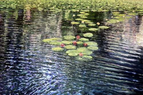 Water Lilies by Glen Robert Hacker
