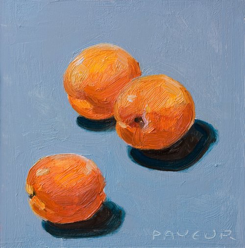 gift for food lovers: modern still life of apricots on blue background by Olivier Payeur