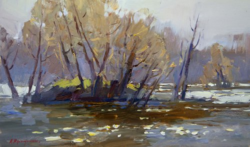 Spring River by Aleksandr  Kryushyn